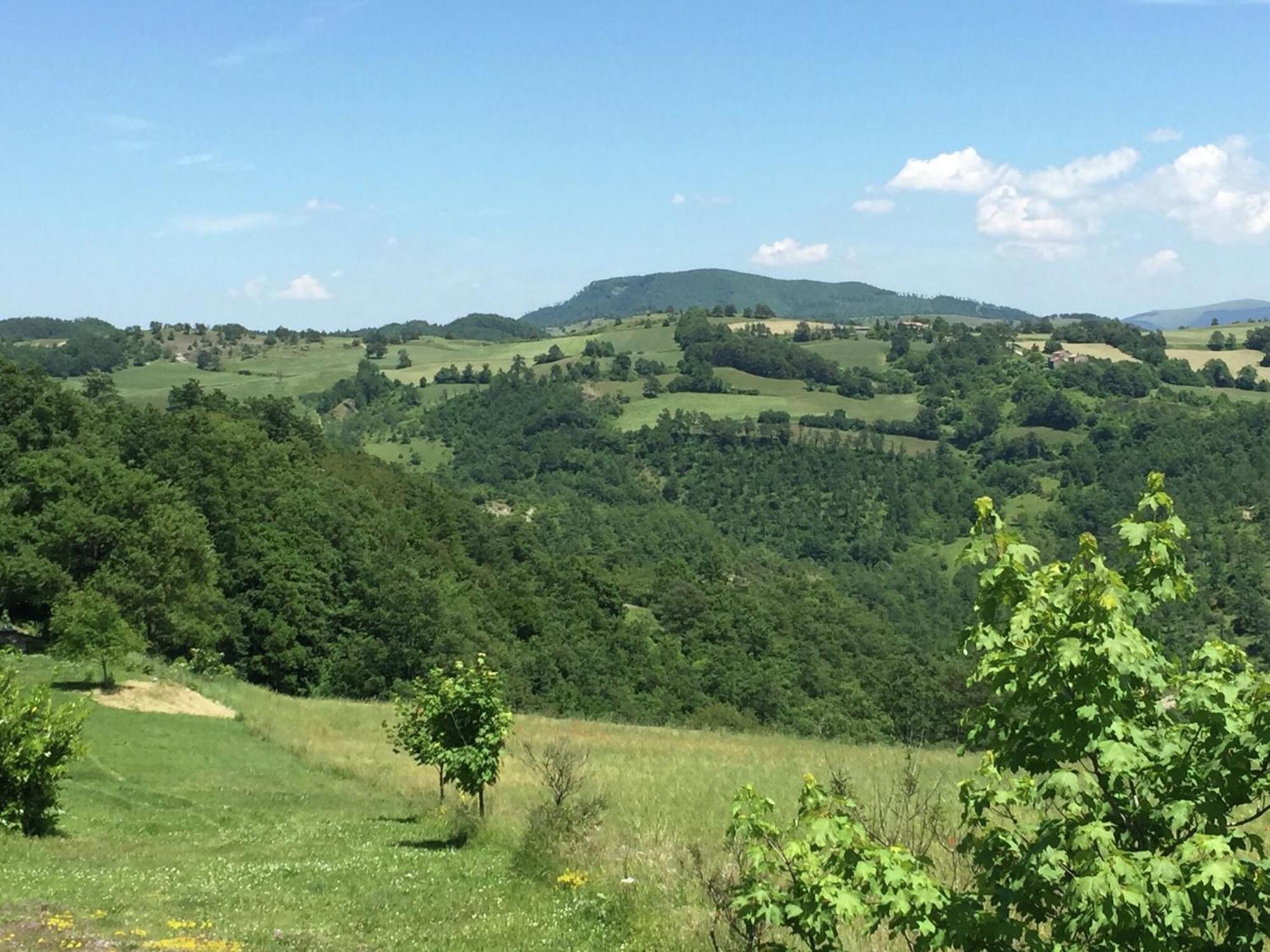 Farmhouse In Apecchio With Swimming Pool Terrace Garden Villa Luaran gambar