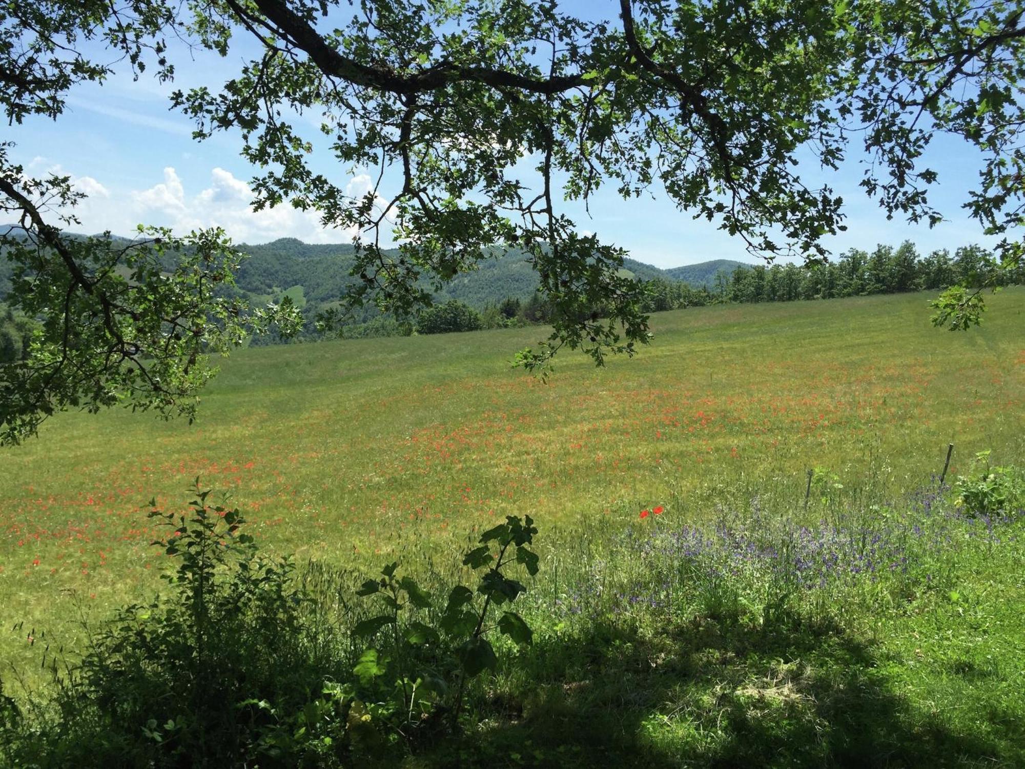 Farmhouse In Apecchio With Swimming Pool Terrace Garden Villa Luaran gambar