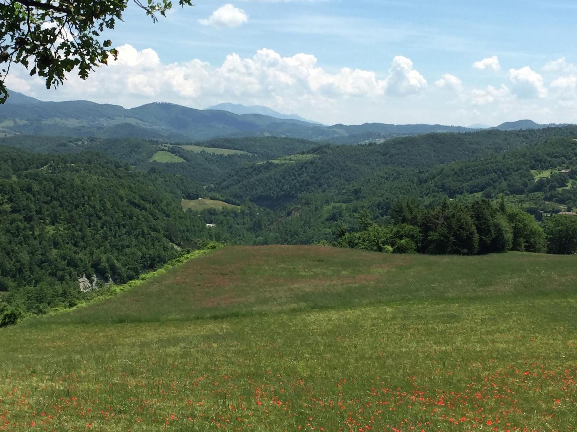Farmhouse In Apecchio With Swimming Pool Terrace Garden Villa Luaran gambar
